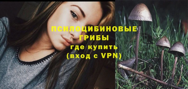 mdpv Мурманск
