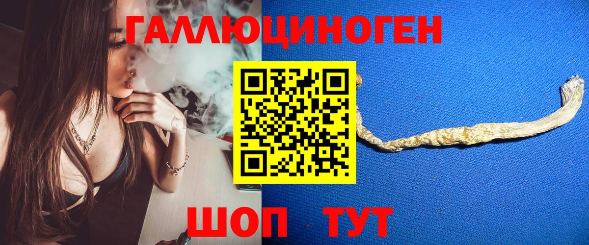 Псилоцибиновые грибы Cubensis  Галлюциногенные грибы прущие грибы  Вход с VPN  Белореченск 