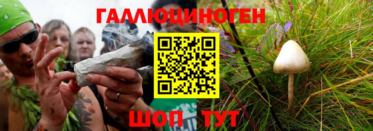 Галлюциногенные грибы мицелий Белореченск