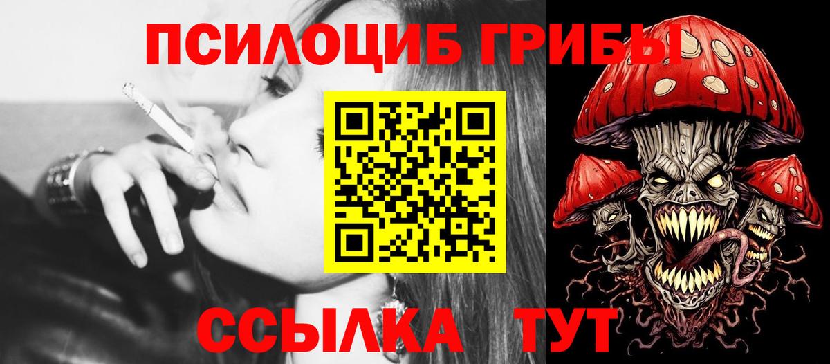 купить  сайты  Белореченск  Псилоцибиновые грибы Psilocybe  Галлюциногенные грибы Cubensis 